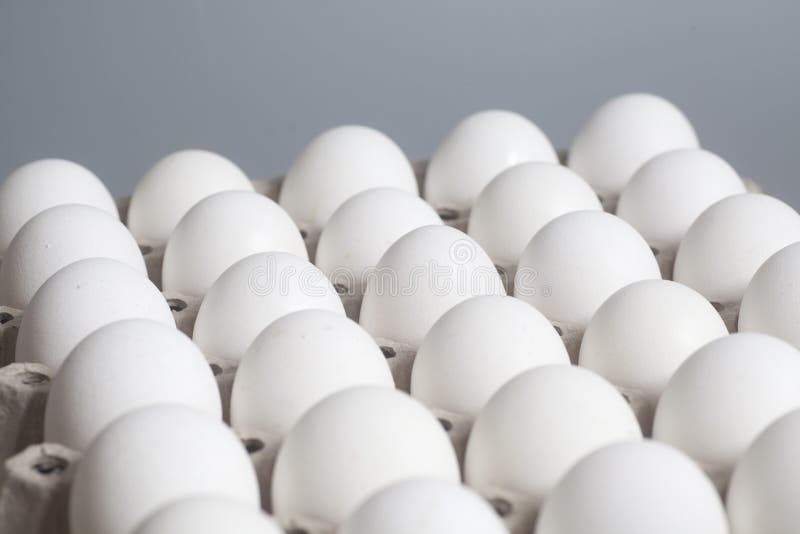 Cardboard Egg Box With Chicken White Eggs Stock Photo Image of