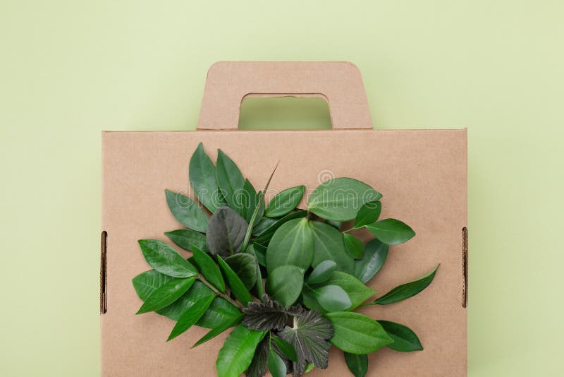 Cardbox from recyclable materials with green leaves.Eco friendly cardboard box packaging, zero waste, plastic free royalty free stock image Cardbox from recyclable materials with green leaves.Eco friendly cardboard box packaging, zero waste, plastic free royalty free stock image