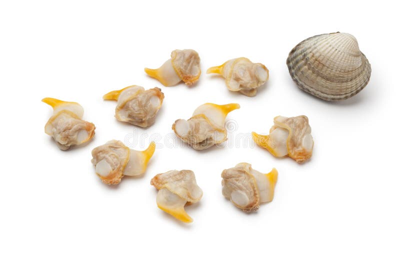 Cardi cucinati freschi fotografie stock