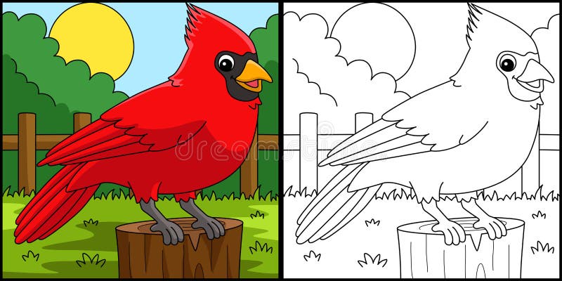 cardinal-coloring-page-free-printable-bird-coloring-page-stock