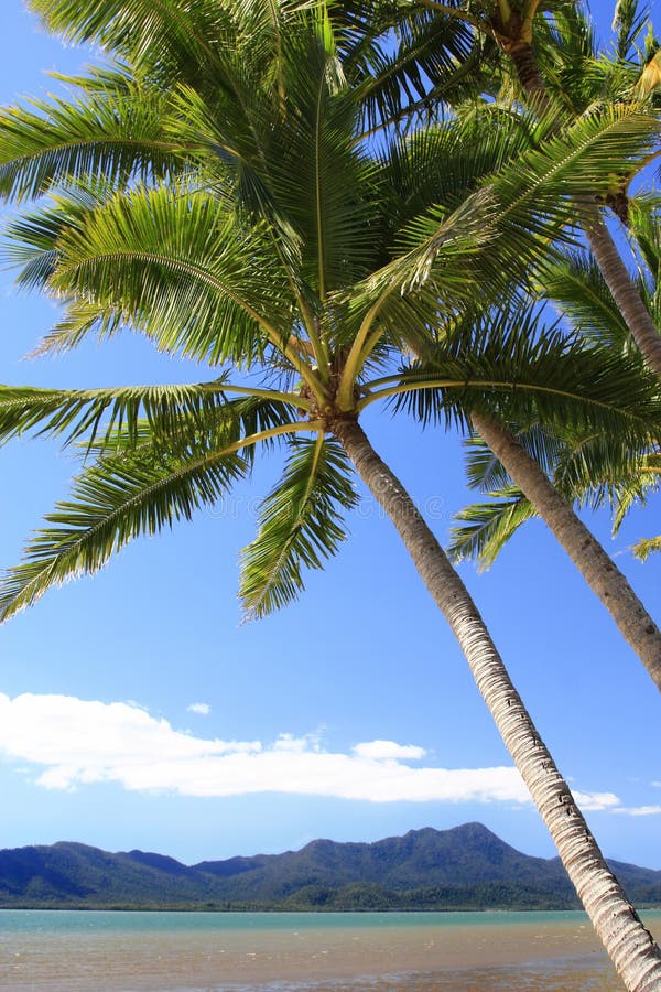 Cardwell North Queensland stock image. Image of green 26941195