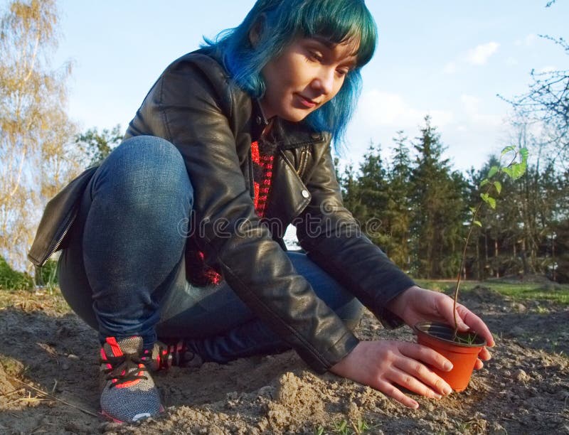 The girl is planting a young tree. stock photography The girl is planting a young tree. stock photography