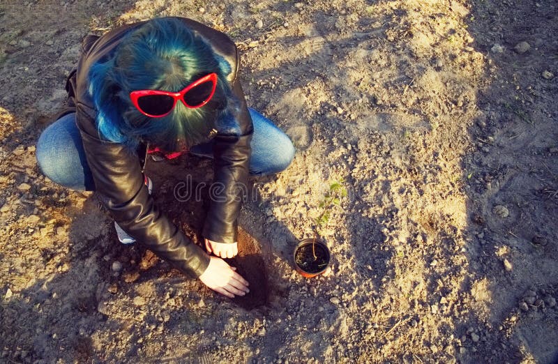 The girl is planting a young tree. royalty free stock image The girl is planting a young tree. royalty free stock image