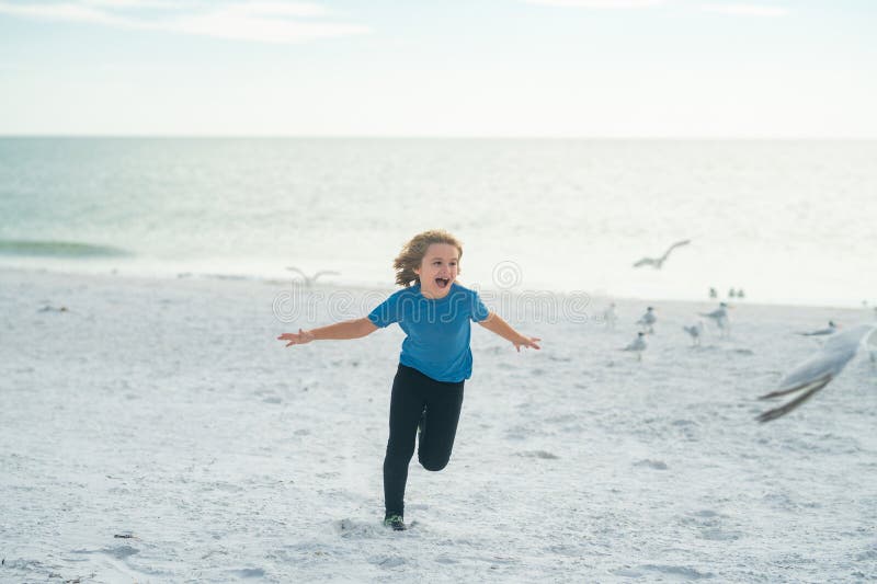 Carefree Kid Running, Chasing Birds. Little Kid Boy Having Fun on Miami