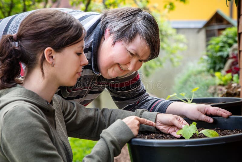 A caregiver explains to a mentally disabled woman how to plant zucchini in a bucket, concept inclusion and good nutrition