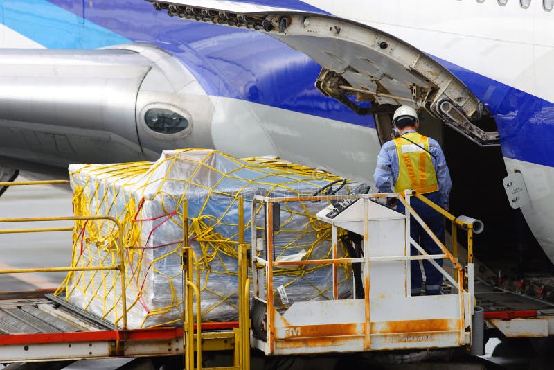 Worker Loading Cargo in the Aircraft. Worker Loading Cargo in the Aircraft