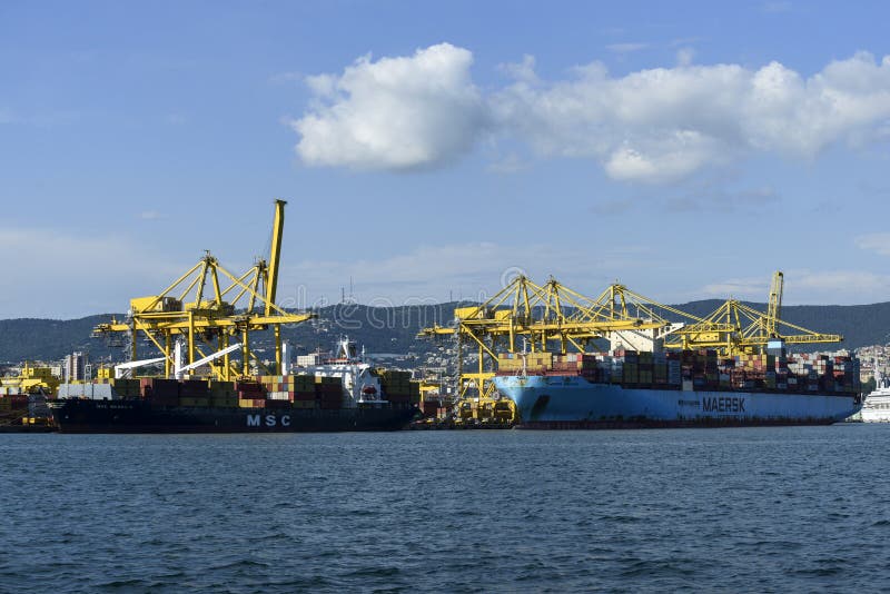 Cargo ships docked at Pier VII of the Port of Trieste loading:unloading containers stock image