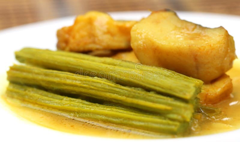 Cari de Moringa avec des poissons photos libres de droits Cari de Moringa avec des poissons photos libres de droits