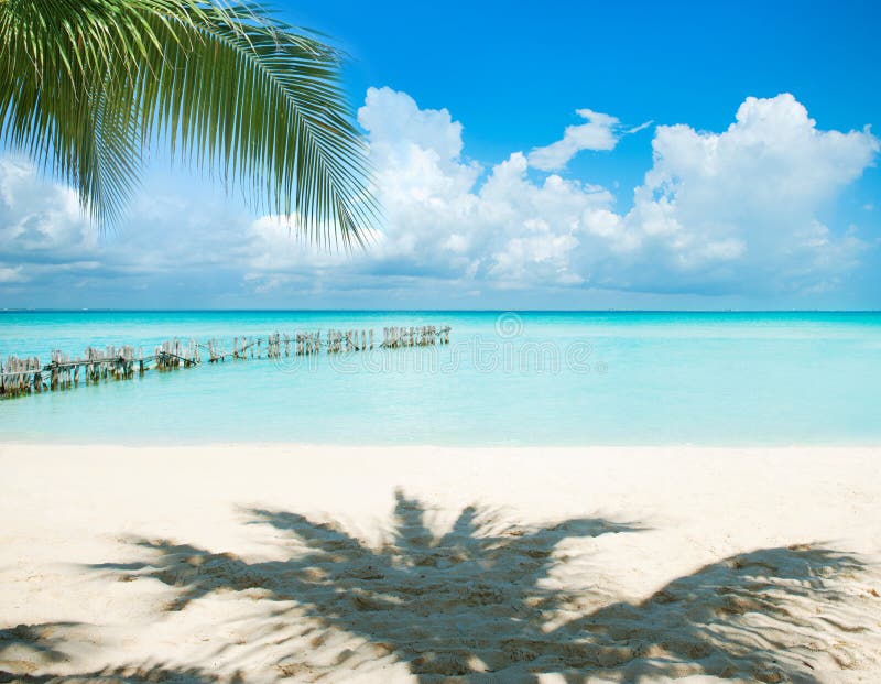 Caribbean Beach. Mexico stock images Caribbean Beach. Mexico stock images