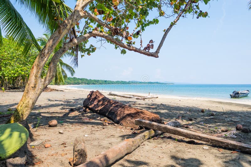 Caribbean Costa Rica Ocean Water Beach Paradise Vacation Trees Rain Forest Beautiful Turquoise Water Blue Water Amazing Beach Surf stock photos Caribbean Costa Rica Ocean Water Beach Paradise Vacation Trees Rain Forest Beautiful Turquoise Water Blue Water Amazing Beach Surf stock photos