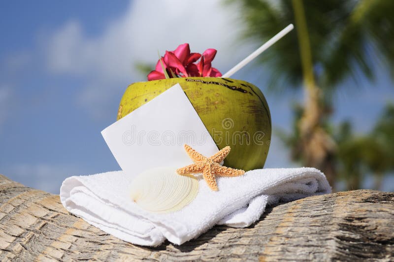 Caribbean Paradise Beach Coconuts Cocktail Stock Photo Image of