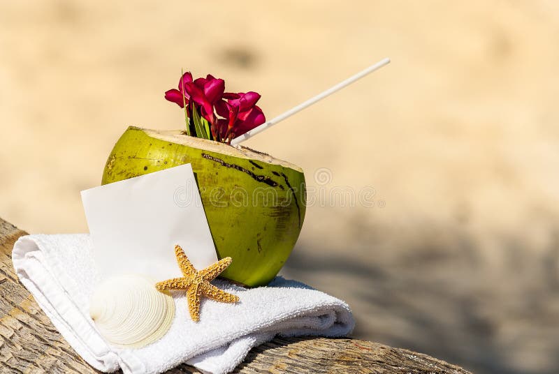 Caribbean Paradise Beach Coconuts Cocktail Stock Photo Image of