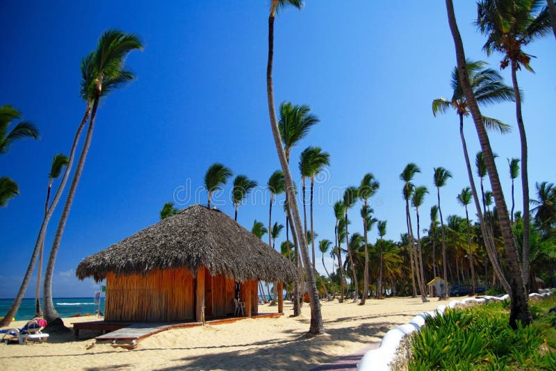 Caribbean summerhouse on beach with palms