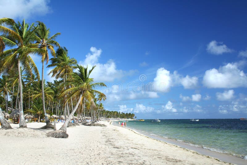 Le palme dei Caraibi resort di spiaggia con sabbia bianca e acque turchesi.