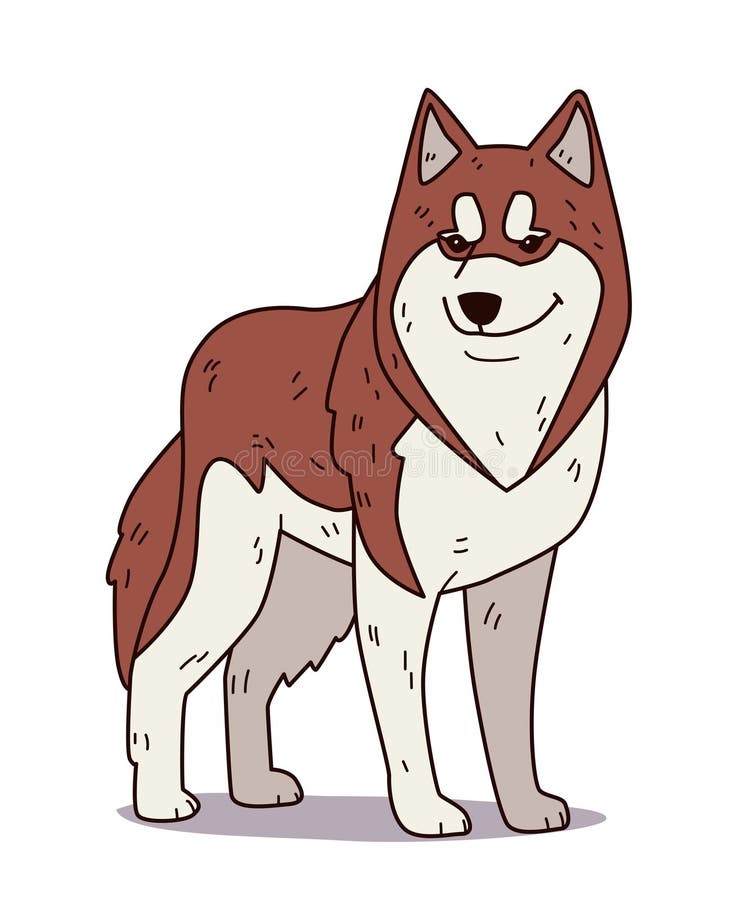 Caricatura de perro Husky estilo marrón blanco de pie expresión segura aislado de fondo blanco personaje de diseño juguetón ilustración del vector