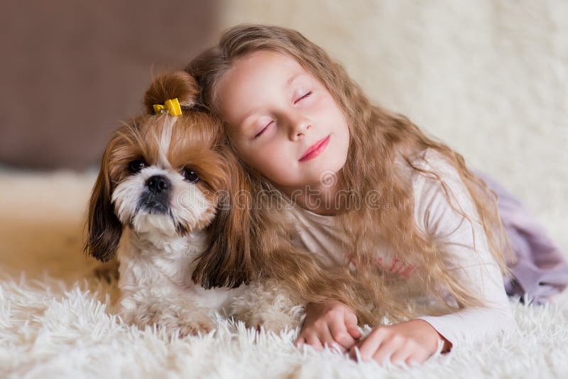 Carina ragazzina abbraccia un cane Shih Tzu a casa Una ragazza giace sul divano con un cane immagine stock