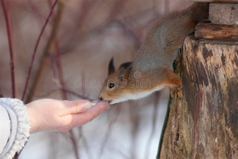 Caring hand stock photos