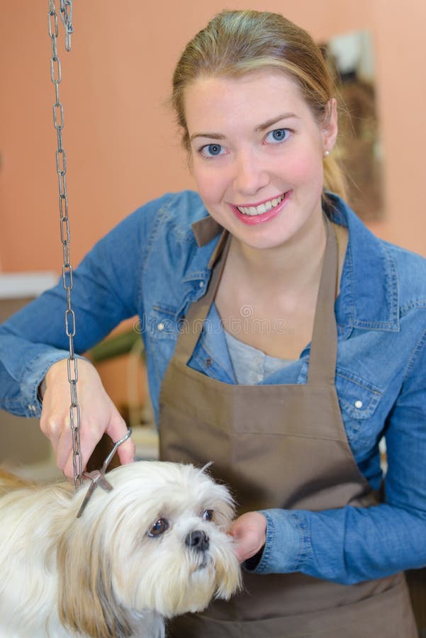 Dog Knots Teen Stock Photos Free & RoyaltyFree Stock Photos from Dreamstime