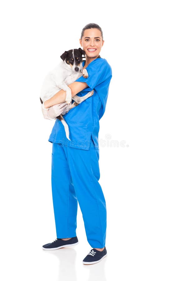 Caring veterinarian holding a dog isolated on white background. Caring veterinarian holding a dog isolated on white background