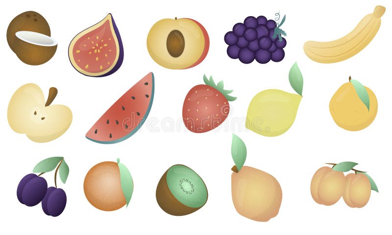 Carini di frutta commestibile insieme di elementi su fondo bianco per bambini che imparano gli aiuti all'asilo e alla scuola. Frutti commestibili carini e bacche insieme di elementi vettoriali su fondo bianco per bambini che aiutano ad apprendere all'asilo e a scuola. fichi di cocco nettarina uva di banana melone di fragola di fragola di limone di arancia di kiwi