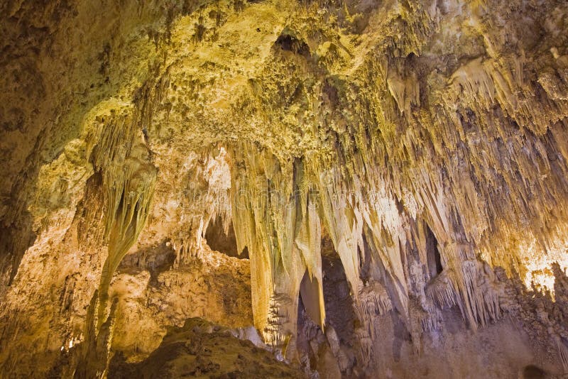 Carlsbad Caverns National Park Stock Image Image of stalactite