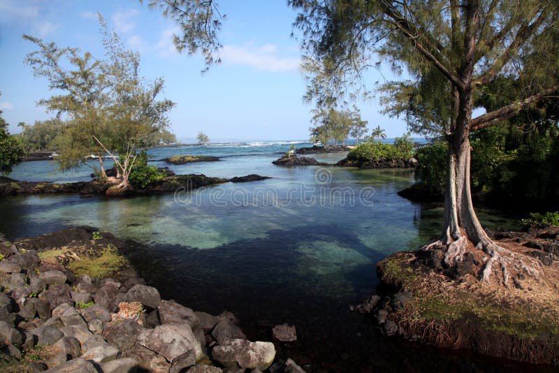 A good swimming spot in the suburbs of Hilo where turtles come into the fresh water to rid themselves of marine parasites. A good swimming spot in the suburbs of Hilo where turtles come into the fresh water to rid themselves of marine parasites