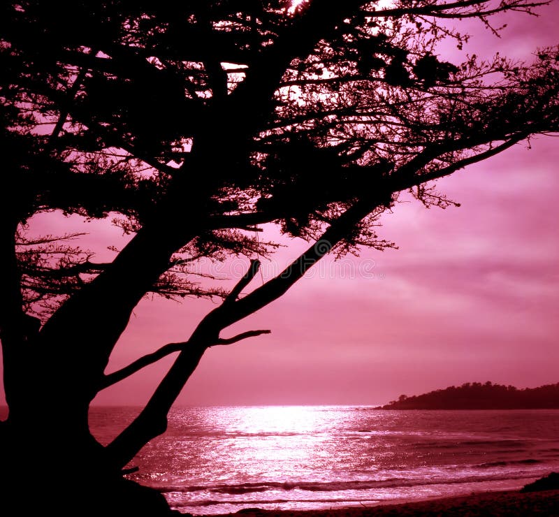 Beautiful beach scene. Serene beach atmosphere stock images, royalty-free photos and pictures