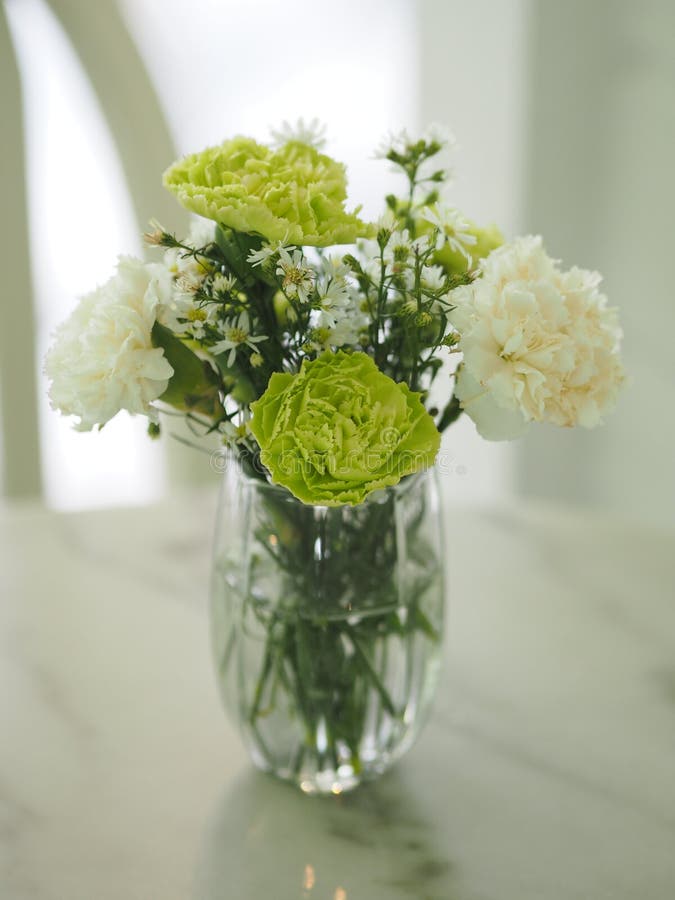 Carnation Green und weiß Blume schöne Bouquet in Wasser Glas farbig schön stockbild Carnation Green und weiß Blume schöne Bouquet in Wasser Glas farbig schön stockbild