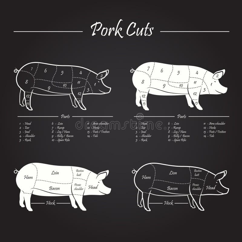 Set of meat cuts diagram in vector style - white on blackboard. Set of meat cuts diagram in vector style - white on blackboard