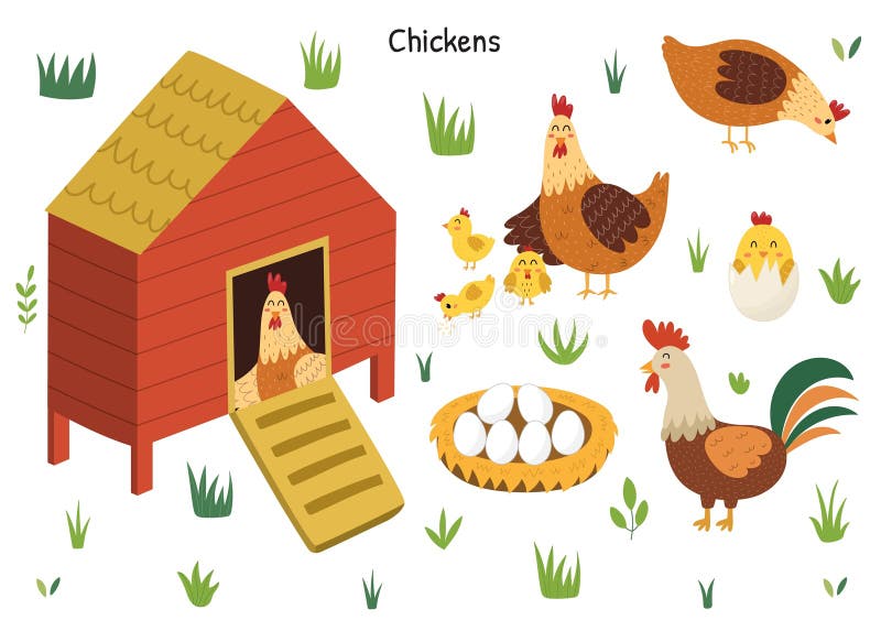 galinha e galo com galinhas em uma branco fundo. fofa frango família com  galinhas dentro desenho animado estilo em a isolado fundo. 21625634 Vetor  no Vecteezy