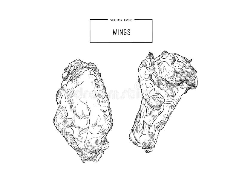 Carne del pollo frito de los alimentos de preparación rápida Ilustración del vector ilustración del vector