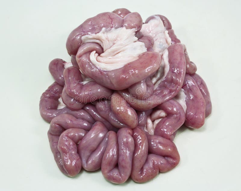 Carne di maiale fresca degli organi immagini stock Carne di maiale fresca degli organi immagini stock