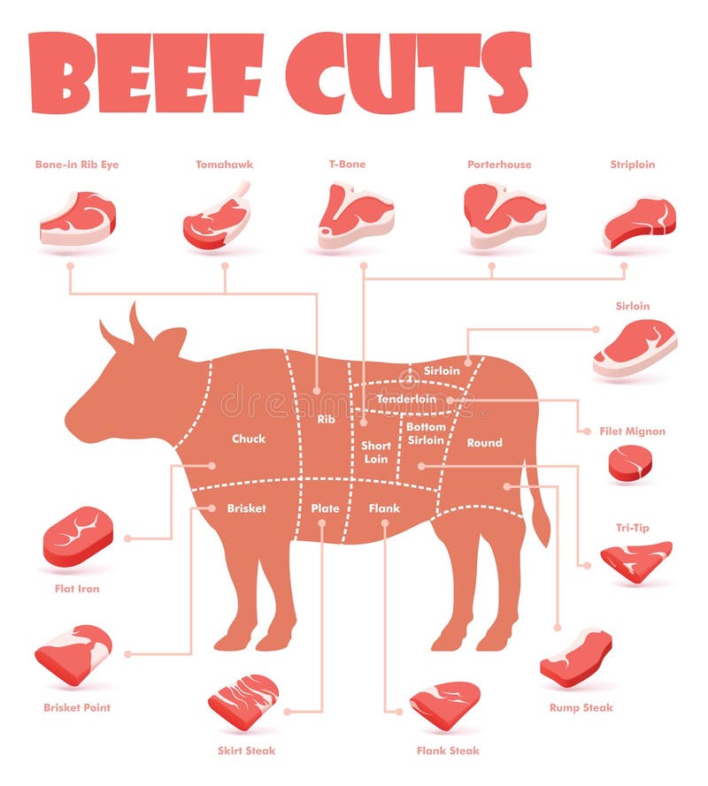 A carne do vetor corta a carta ilustração do vetor A carne do vetor corta a carta ilustração do vetor