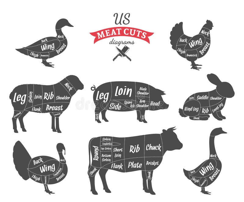 American (US) cuts of beef, pork, lamb, rabbit, chicken, duck, goose and turkey diagrams. American (US) cuts of beef, pork, lamb, rabbit, chicken, duck, goose and turkey diagrams