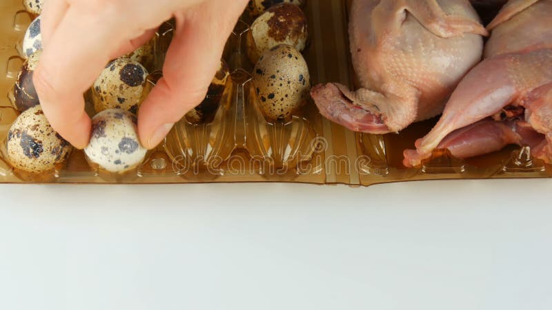 Carne fresca della quaglia in un vassoio marrone di plastica accanto alle uova di quaglia su un fondo bianco Le mani femminili pr
