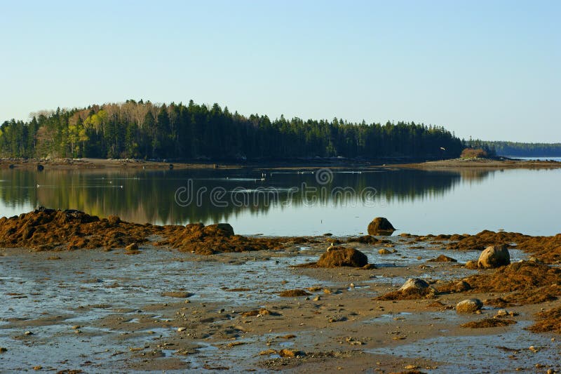 Carney Island In Little Deer Isle, Maine Stock Photos Image 9401313