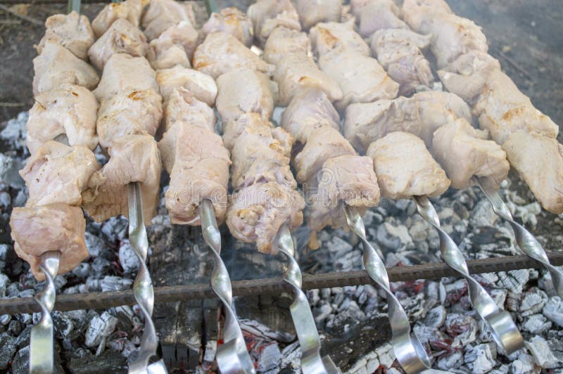 Carni fresche di skewers fotografia stock libera da diritti