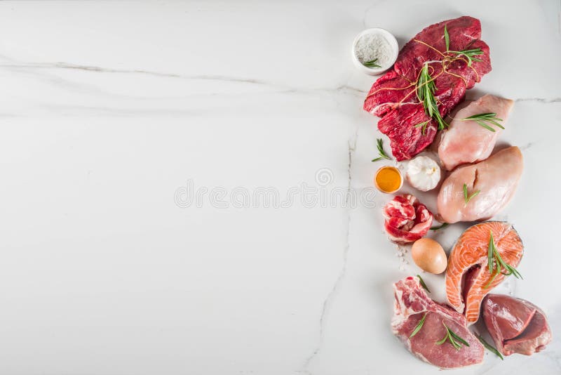 Carnivore protein diet background royalty free stock photo Carnivore protein diet background royalty free stock photo