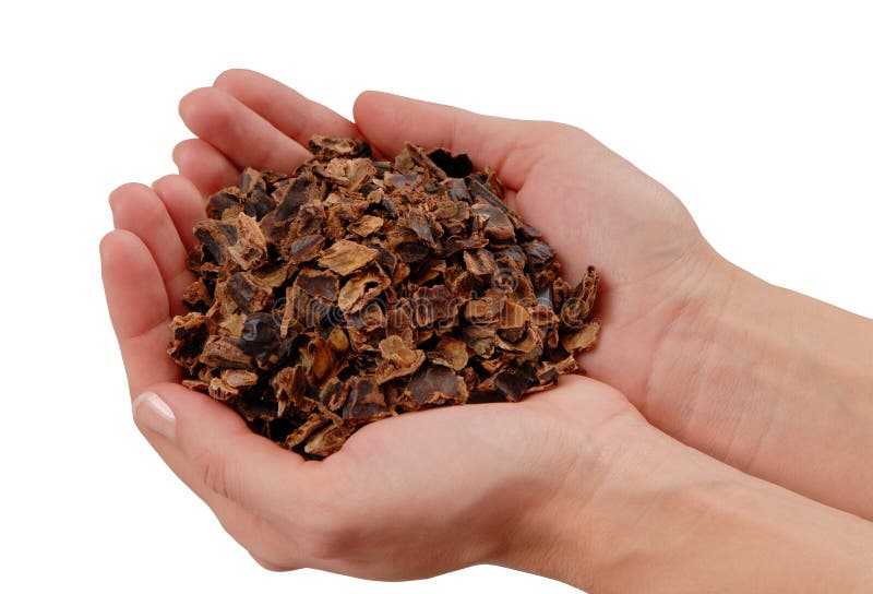Carob, fake chocolate, pieces of karob are in hands stock images Carob, fake chocolate, pieces of karob are in hands stock images