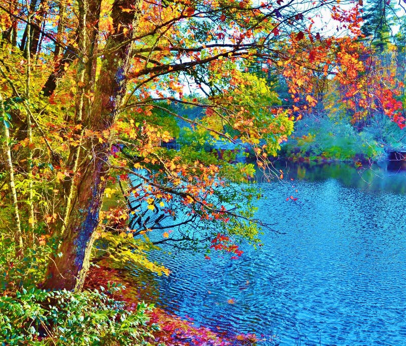 Carolina Fall Foliage del norte imagenes de archivo Carolina Fall Foliage del norte imagenes de archivo