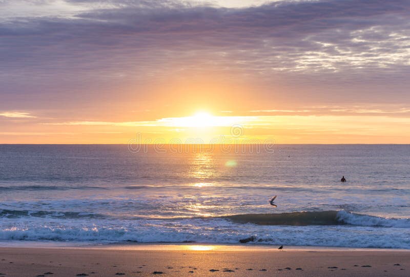 Carolina Surfer ad alba atlantica iniziale fotografia stock libera da diritti Carolina Surfer ad alba atlantica iniziale fotografia stock libera da diritti