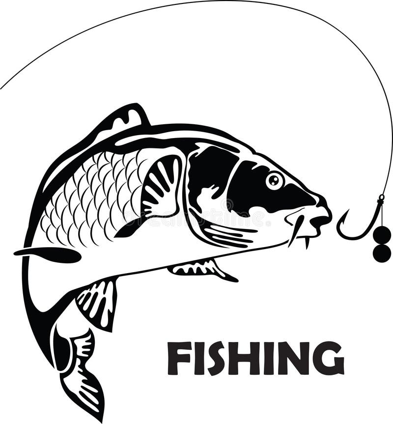 Carp fish, illustration