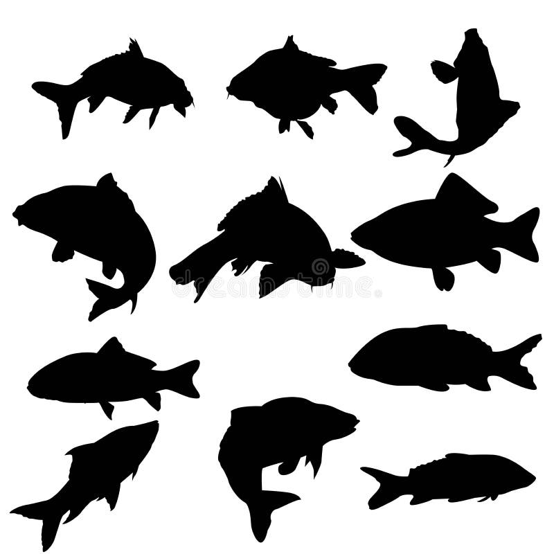 Carp fish Silhouette set stock vector. Illustration of wildlife - 269337836