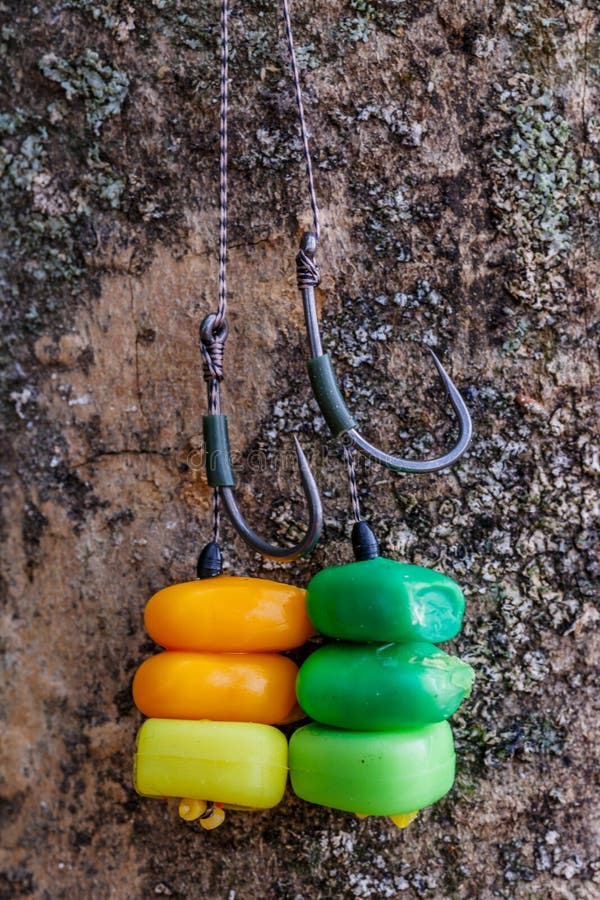 Carp Fishing Chod Rig.the Source Boilies with Fishing Hook. Fishing Rig for  Carps,Carp Boilies, Corn, Tiger Nuts and Hemp Stock Photo - Image of carp,  carpfishing: 233656052