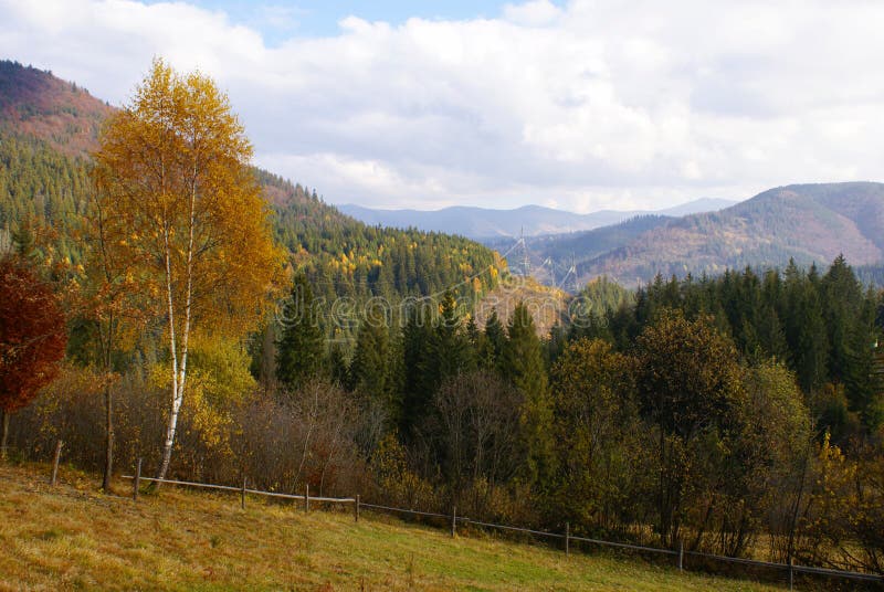 Carpathian mountains