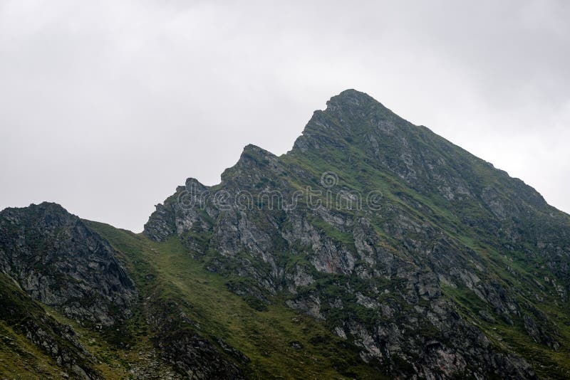 Carpathian mountains in summer