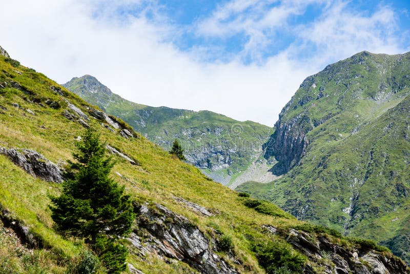 Carpathian mountains in summer