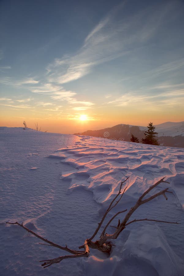 Carpathian mountains, winter landscape, Carpathians forest,