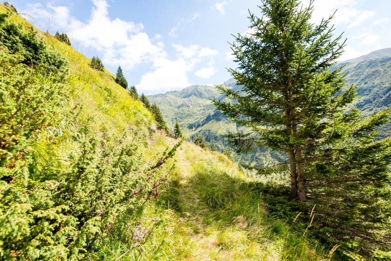 Karpaty v zime sneh