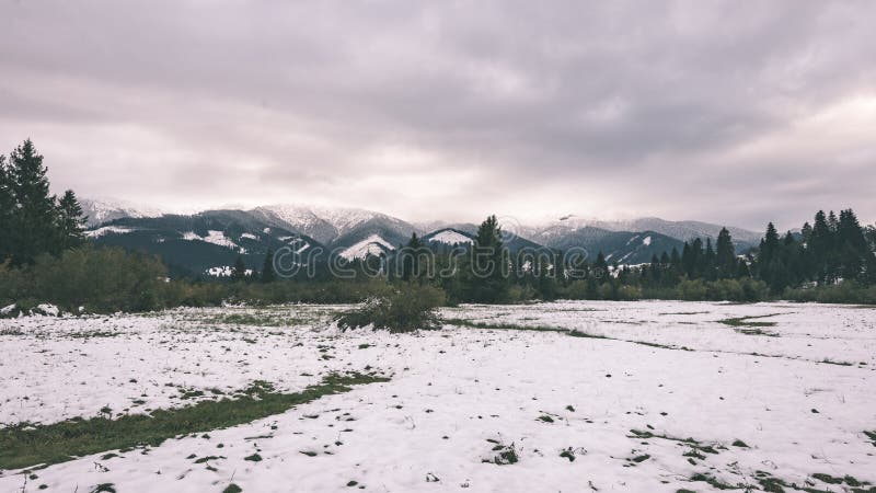 Carpathian mountains in winter snow - vintage film effect
